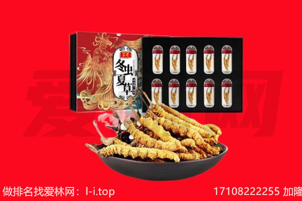 淮南市八公山回收虫草.jpg